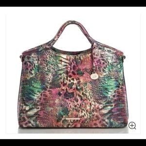 Brahmin Eliane Shapeshifter